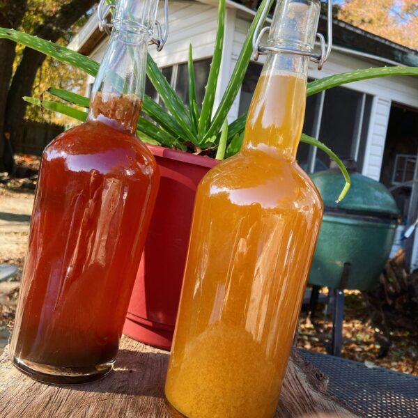 Kombucha - fermented goodness for a healthy gut microbiome