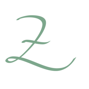 Z from logo