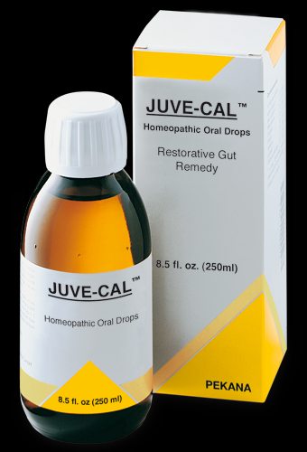 JUVE-CAL restorative homeopathic from Pekana