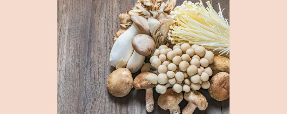 Functional Mushroom Benefits: Are Fungii Your Key to Anti-Aging and Anti-Cancer?