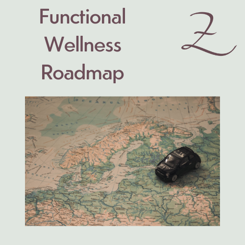 Functional Wellness Roadmap at Zen and Vitality with Zoa