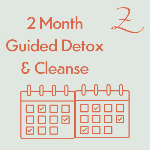 Guided Cleanse Program ﻿﻿at Zen and Vitality with Zoa