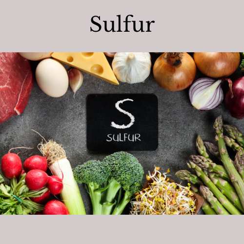 Sulfur containing foods