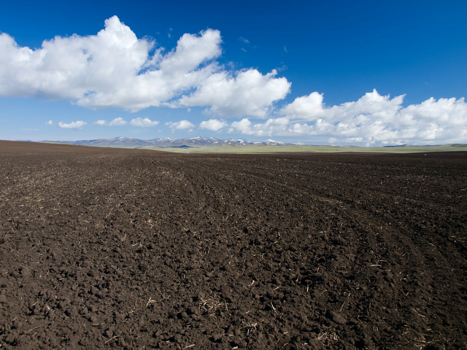 Photo by Zbynek Burival photo of brown sand under blue sky