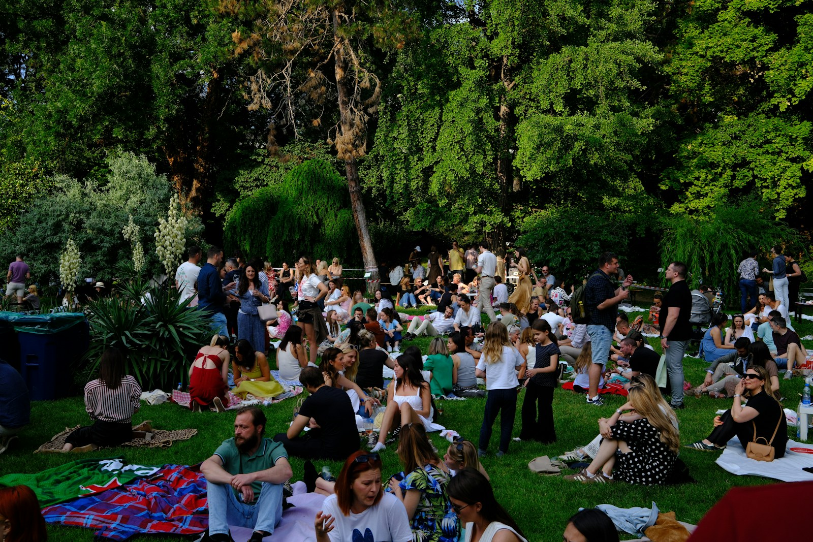 Photo by Anton Borzenkov Many people relaxing on grass in a lush green park.